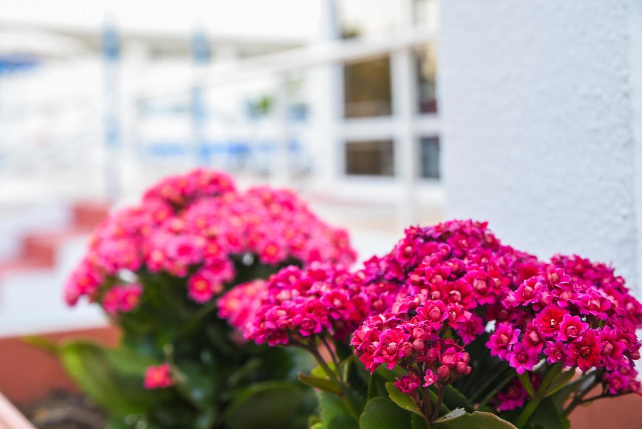 Lagonas Beach Hotel Apartments Faliraki Eksteriør bilde
